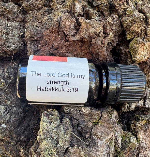 Shekinah Glory Oil