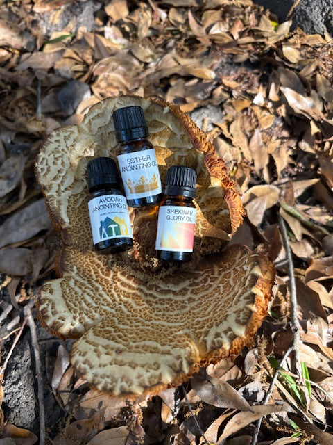 3 Bottle Bundle
