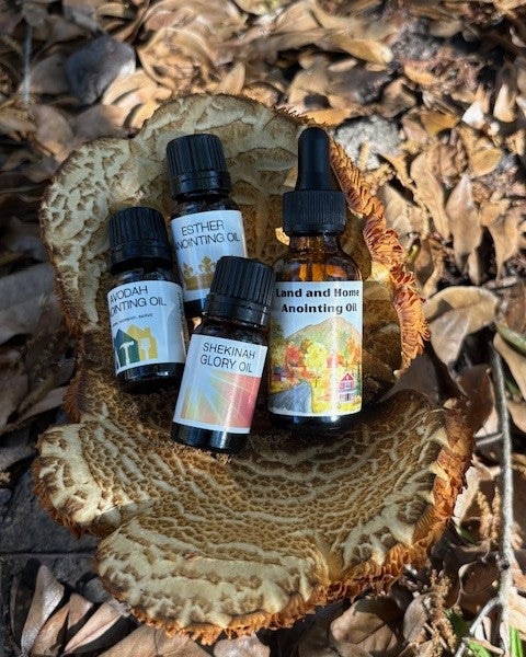 4 bottle bundle